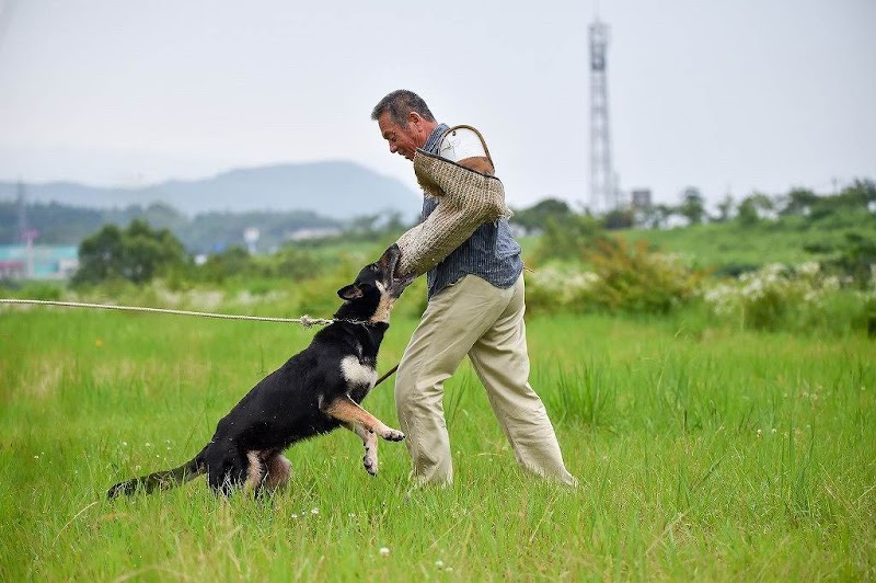 井東警察犬・愛犬訓練所