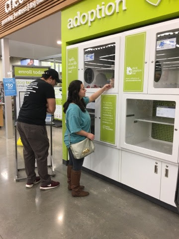 Pet Supply Store «Petco Animal Supplies», reviews and photos, 635 Cibolo Valley Drive #149, Cibolo, TX 78108, USA