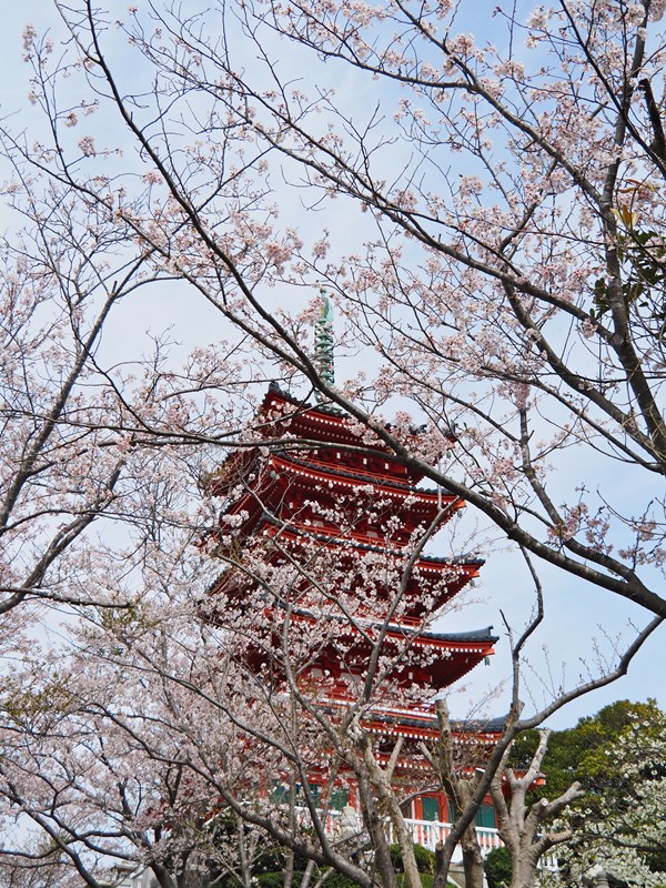 横須賀五重塔