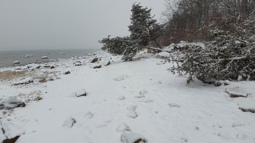 State Park «Nasketucket Bay State Reservation», reviews and photos, Brandt Island Rd,, Mattapoisett, MA 02739, USA