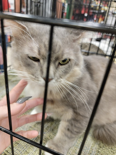 Pet Supply Store «PetSmart», reviews and photos, 5435 W TX-1604 Loop N, San Antonio, TX 78253, USA