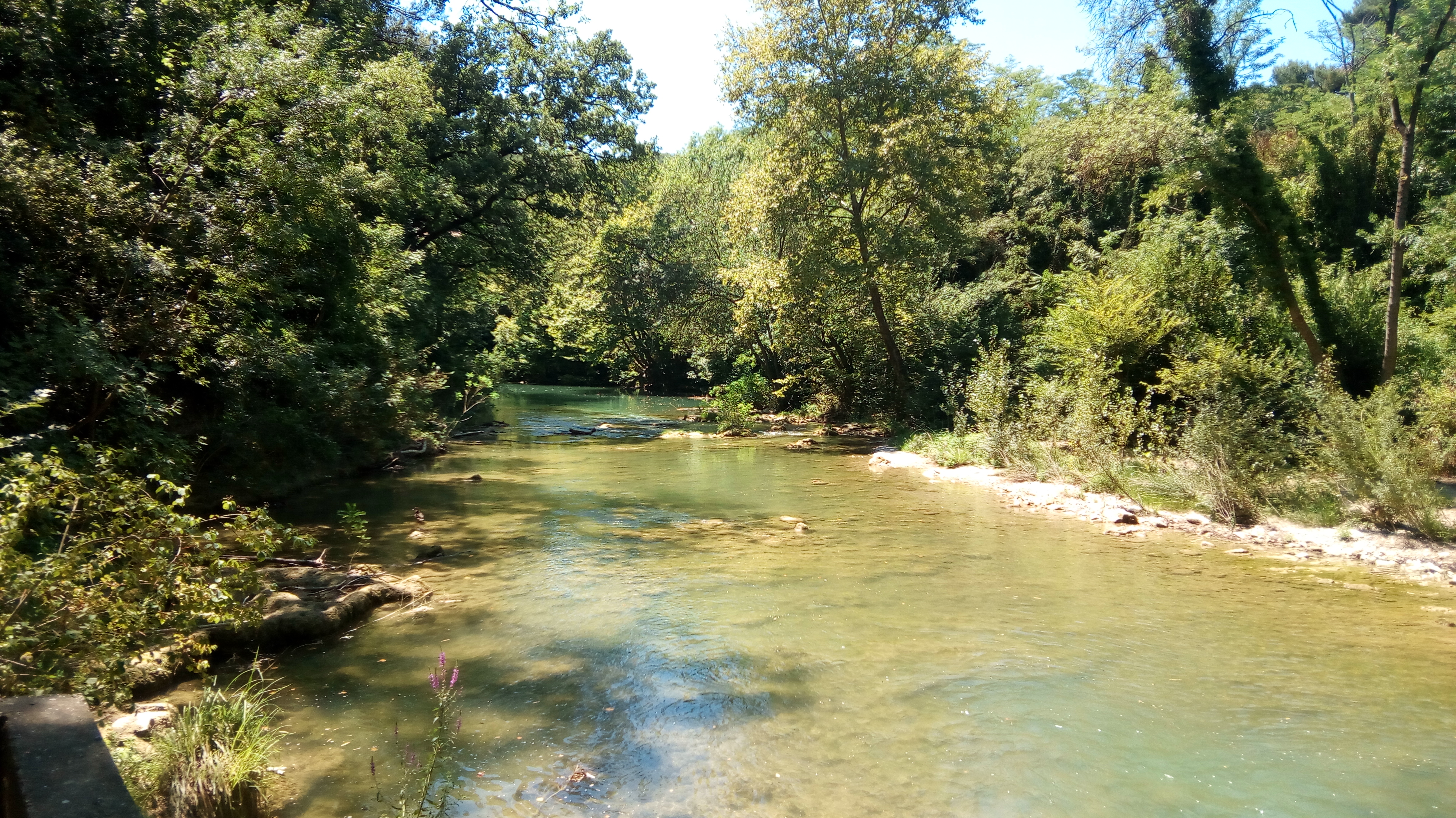 Photo n° 17 de l'avis de balades. fait le 11/07/2018 à 13:22