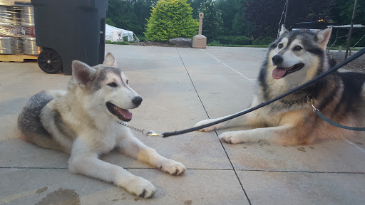 Winery «J & J Winery», reviews and photos, 3415 National Rd W, Richmond, IN 47374, USA