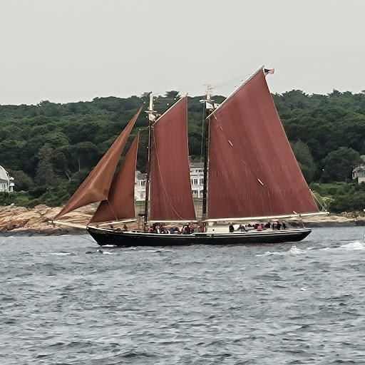 Whale Watching Tour Agency «Cape Ann Whale Watch», reviews and photos, 415 Main St, Gloucester, MA 01930, USA