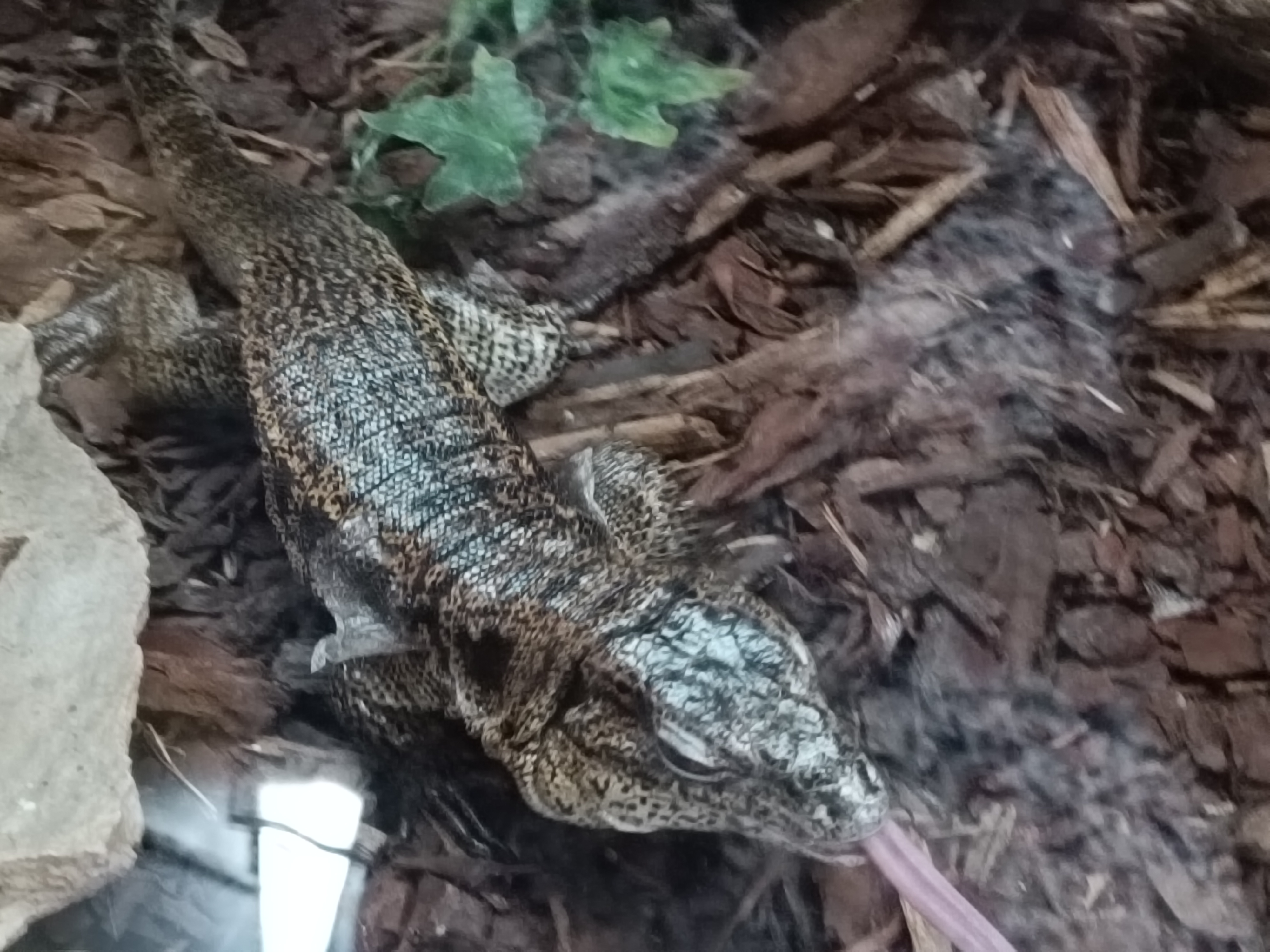 Photo n° 6 de l'avis de Sab.a fait le 12/04/2024 à 11:38