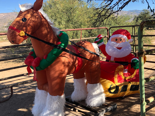 Pony ride service Tucson
