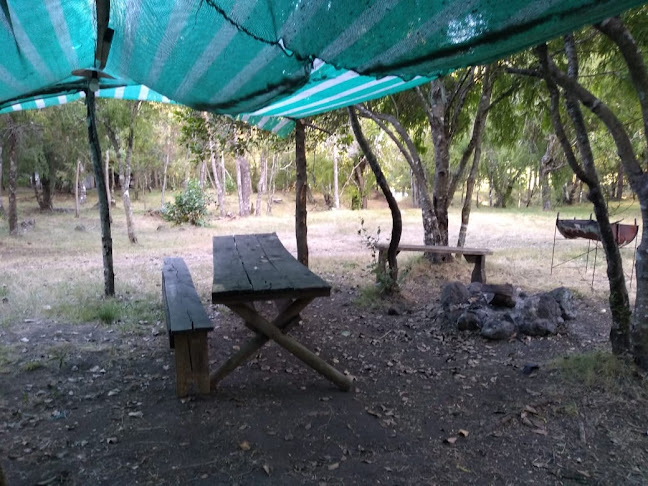Opiniones de Camping La Junta en Melipeuco - Camping
