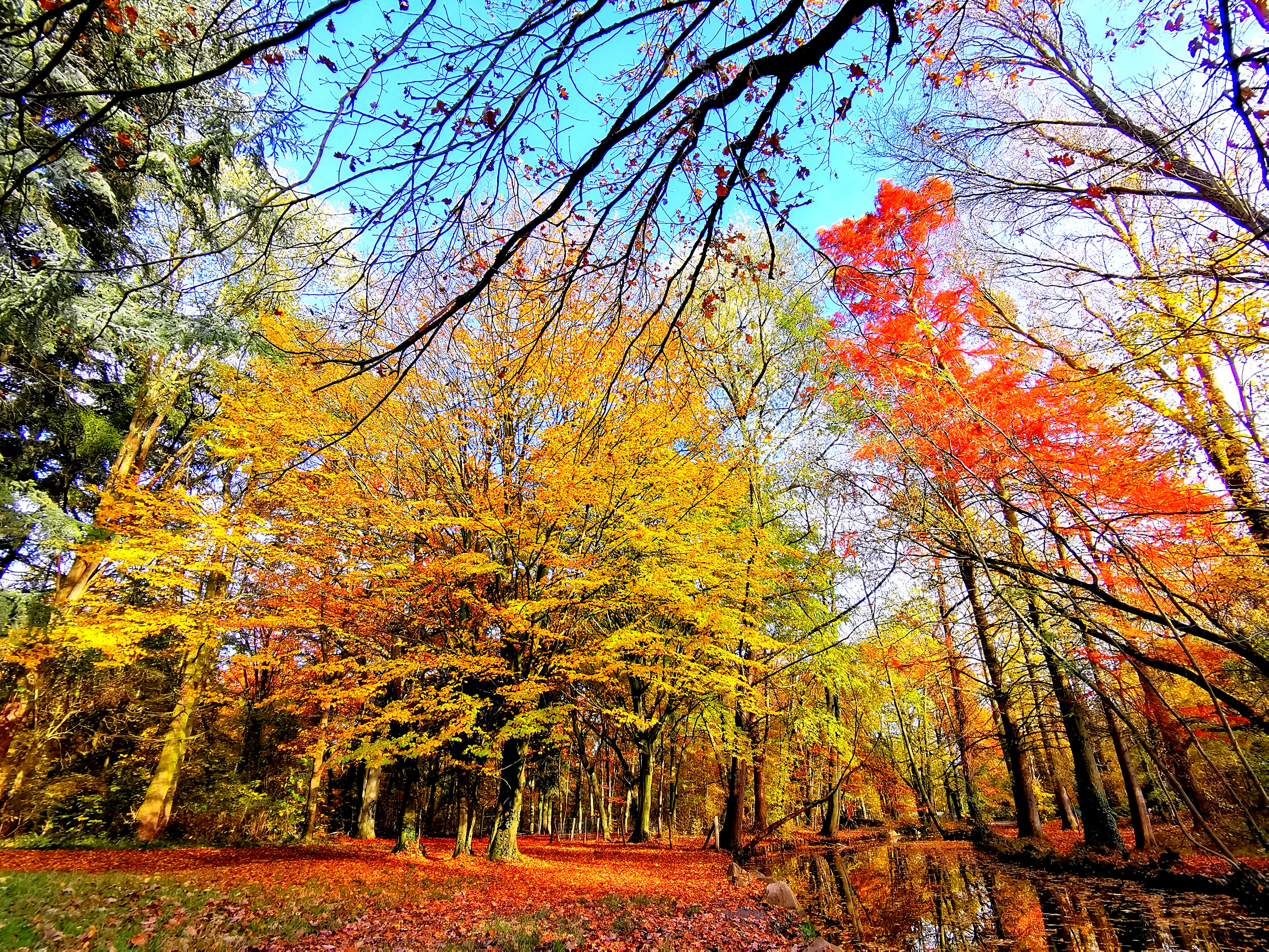 Photo n° 2 de l'avis de Süksön.i fait le 24/03/2022 à 04:33