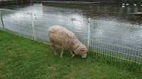 酪農王国オラッチェ