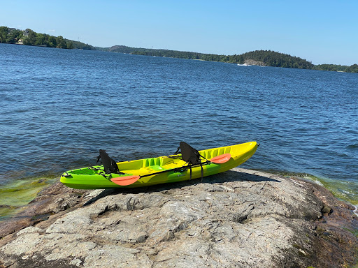 Adult paddle school in Stockholm