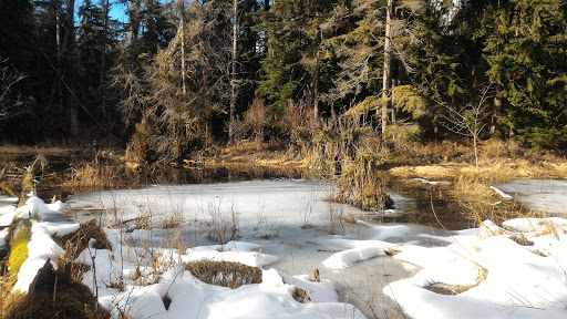 Park «Lord Hill Park», reviews and photos, 12921 150th St SE, Snohomish, WA 98290, USA