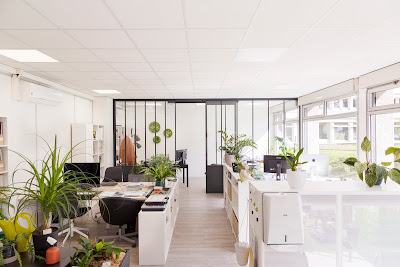 apuc paysagiste à Toulouse
