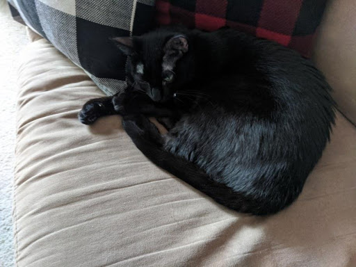 Pet Supply Store «Natural Pet Center», reviews and photos, 3037 13th Ave S, Fargo, ND 58103, USA