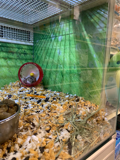 Pet Supply Store «PetSmart», reviews and photos, 2017 N Prospect Ave, Champaign, IL 61822, USA