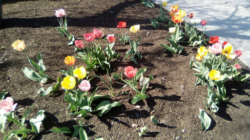 American Restaurant «Cracker Barrel Old Country Store», reviews and photos, 2075 Hylan Dr, Rochester, NY 14623, USA