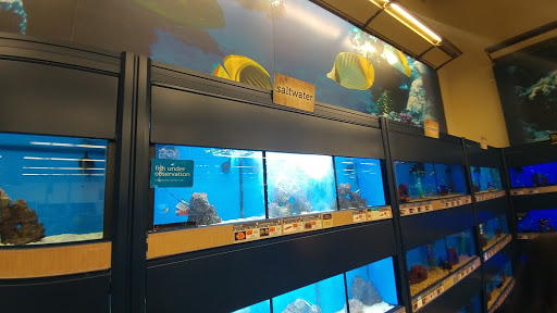 Pet Supply Store «Petco Animal Supplies», reviews and photos, 4840 N Pulaski Rd #100, Chicago, IL 60630, USA