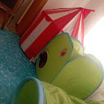 Photo n°39 de l'avis de Roberta.e fait le 11/08/2023 à 05:05 sur le  Hotel Cavalluccio Marino à Gabicce Mare