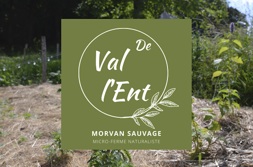Val de l'Ent ∞ Morvan sauvage à Saint-Léger-sous-Beuvray
