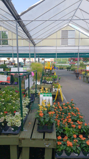 Garden Center «Pike Nurseries», reviews and photos, 6050 Bethelview Rd, Cumming, GA 30040, USA