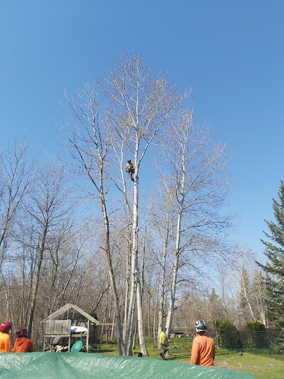 Brad's Tree Service