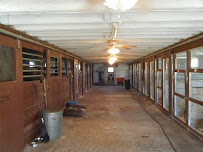 Pegasus Woof & Purr Kennel - Photo 5 - Car repair in Poughkeepsie, NY, Poughkeepsie