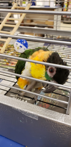 Pet Store «Pet World Warehouse Outlet», reviews and photos, 2984 S 108th St, Milwaukee, WI 53227, USA