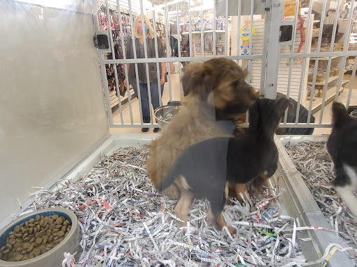 Pet Store «Back To Nature Pets & Grooming», reviews and photos, 110 N Dupont Hwy, New Castle, DE 19720, USA