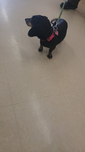 Pet Supply Store «Petco Animal Supplies», reviews and photos, 244 Pioneer Trail, Chaska, MN 55318, USA