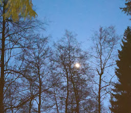 Herbringhauser Bachtal photo