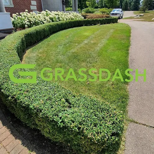 Grassdash lawn care service