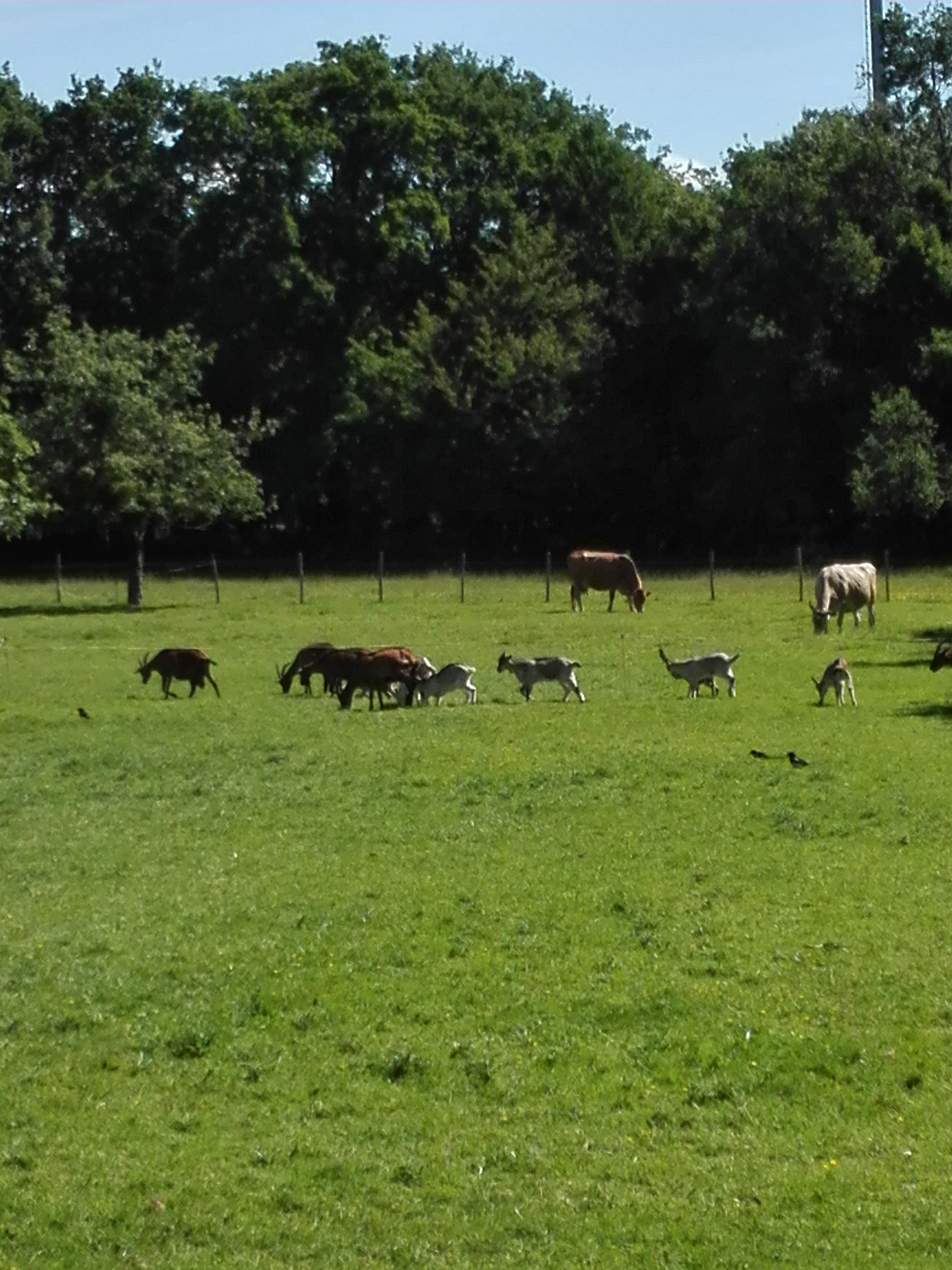 Photo n° 6 de l'avis de Raph.e fait le 05/06/2019 à 14:22