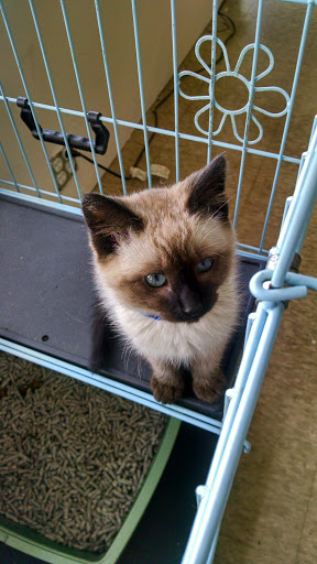 Pet Store «Paw Prints & Fishtails», reviews and photos, 1318 2nd Ave W, Williston, ND 58801, USA