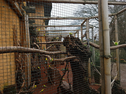 Der Zoo-Expert Der Zoohandlung Inhaberin Melanie Kögler unter Salzhausen, 