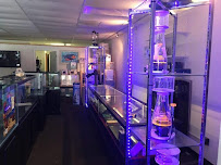 AquaMarine IMPORTS - Photo 8 - Car repair in Appleton, WI, Appleton