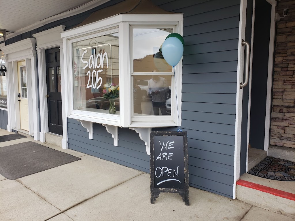 Salon 205 45309
