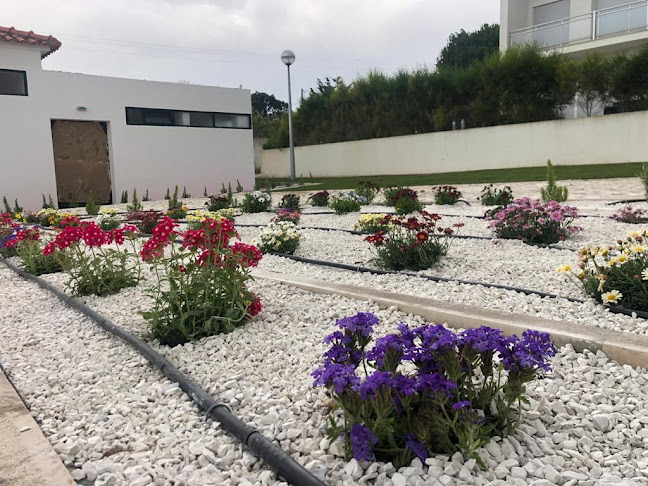 Avaliações doJJ Jardins | Construção e Manutenção de Jardins em Caldas da Rainha - Jardinagem