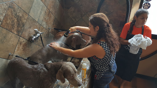 Pet Store «Pet Valu», reviews and photos, 134 S Ridge St, Rye Brook, NY 10573, USA