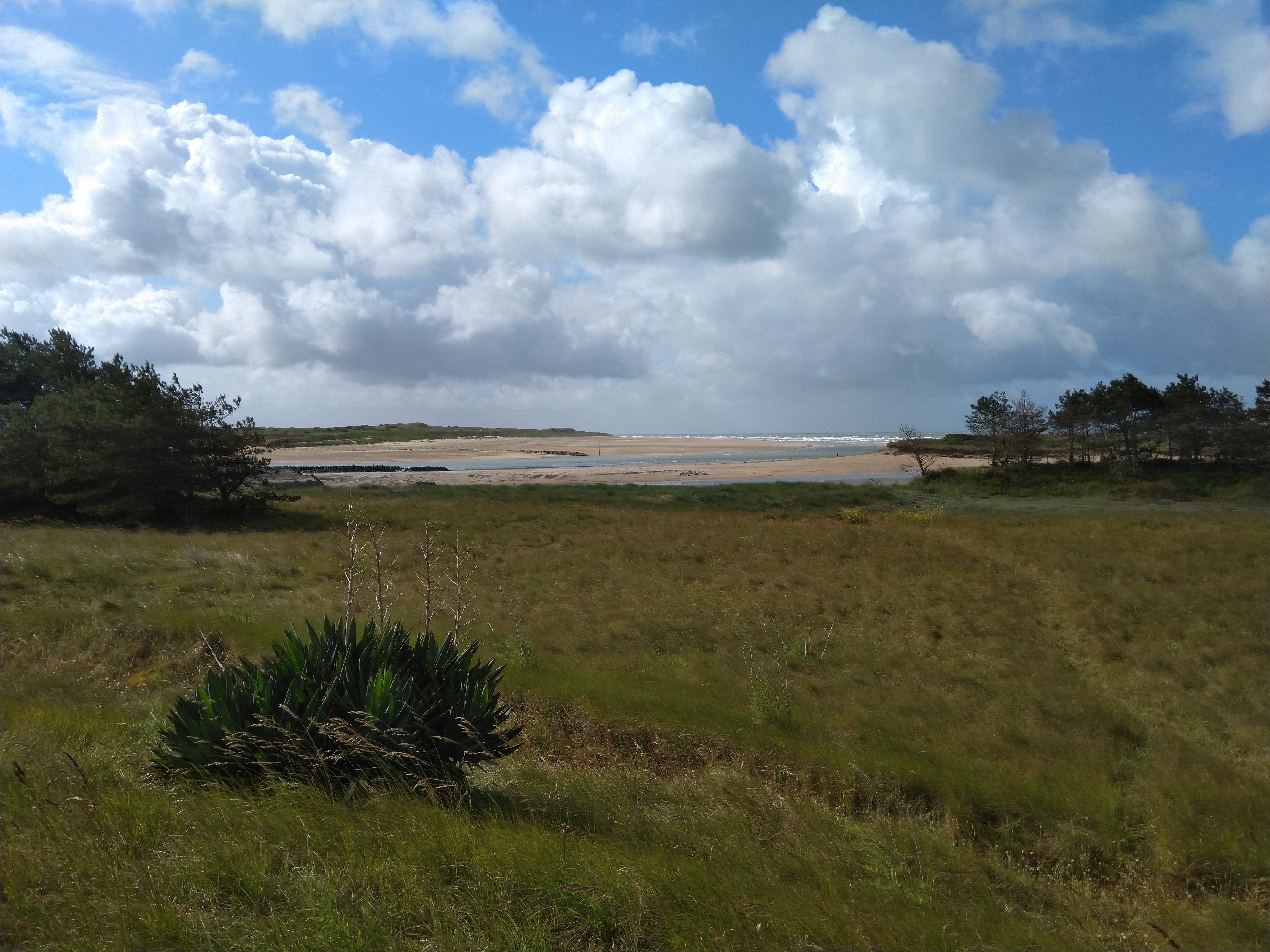 Photo n° 3 de l'avis de pierre.e fait le 06/07/2019 à 09:46