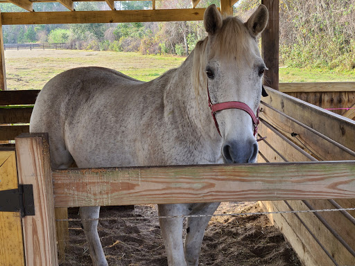 Golf Club «Palm Valley Golf Club», reviews and photos, 1075 Palm Valley Rd, Ponte Vedra Beach, FL 32081, USA