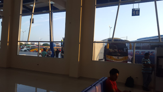 CTM Ejecutivo MANTA, Nuevo Terminal - Servicio de transporte