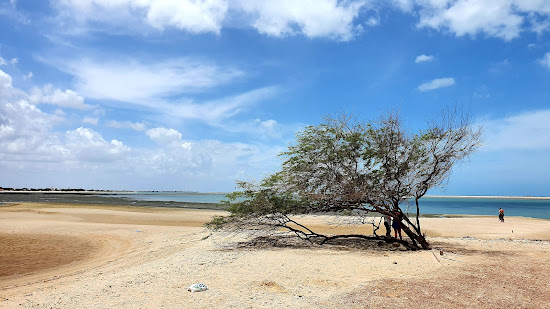 Praia de Soledade, Macau