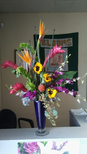 Florist «Blooms-The Flower Shop», reviews and photos, 3028 Chimney Rock Rd, Houston, TX 77056, USA