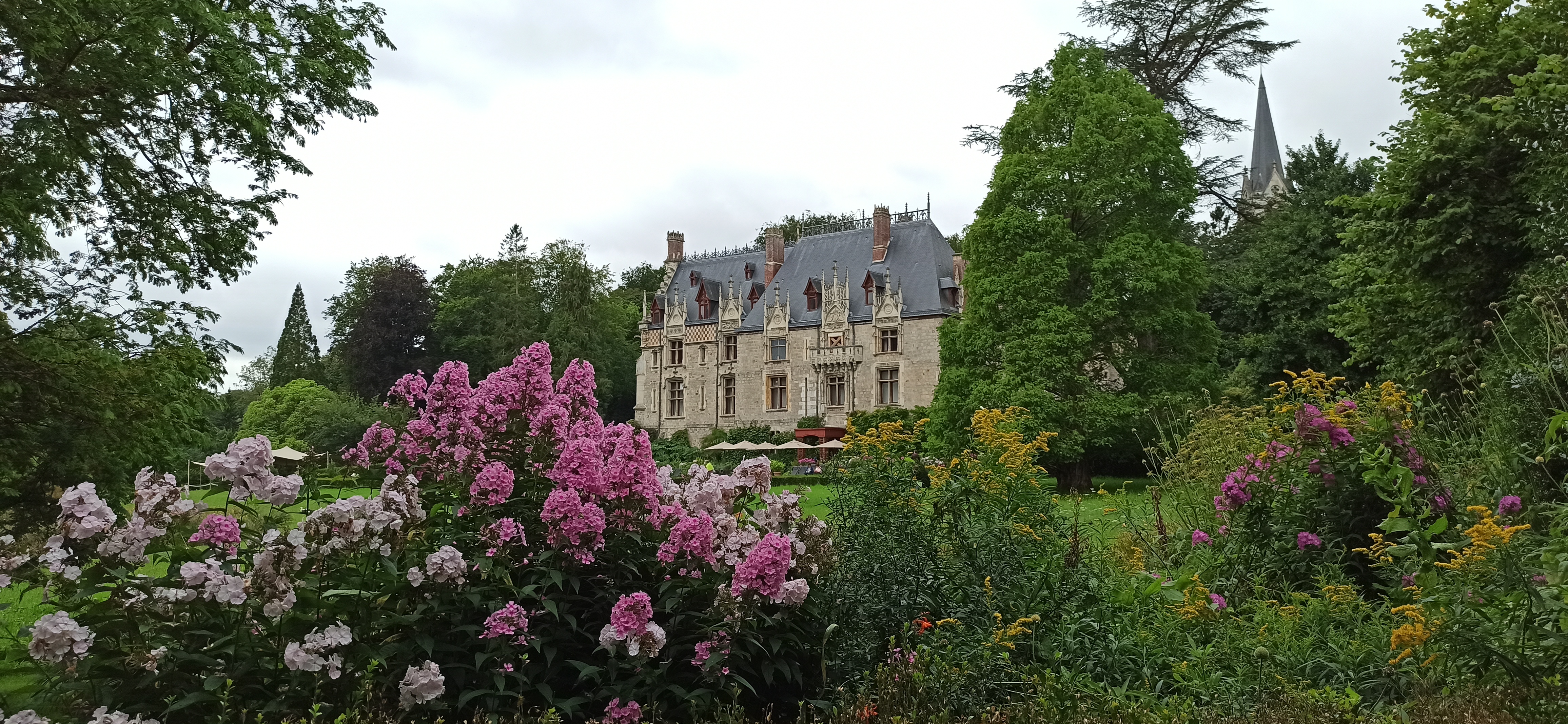 Photo n° 1 de l'avis de julien.t fait le 19/08/2021 à 14:14