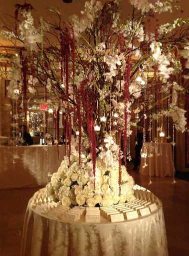 Plant Nursery «A & S Whitestone Nursery», reviews and photos, 2302 Francis Lewis Blvd, Whitestone, NY 11357, USA