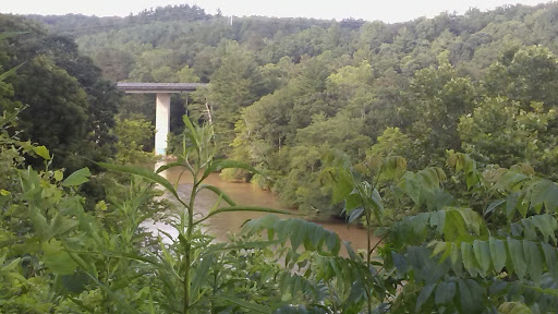 Tourist Attraction «French Broad Overlook», reviews and photos, 3938 Blue Ridge Pkwy, Arden, NC 28704, USA