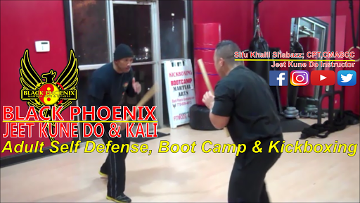 Black Phoenix Martial Arts and Fitness Academy