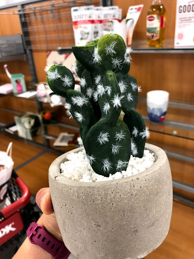 Department Store «T.J. Maxx», reviews and photos, 4651 2nd St, Davis, CA 95618, USA