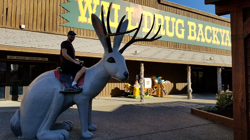 Drug Store «Wall Drug Store», reviews and photos, 510 Main St, Wall, SD 57790, USA