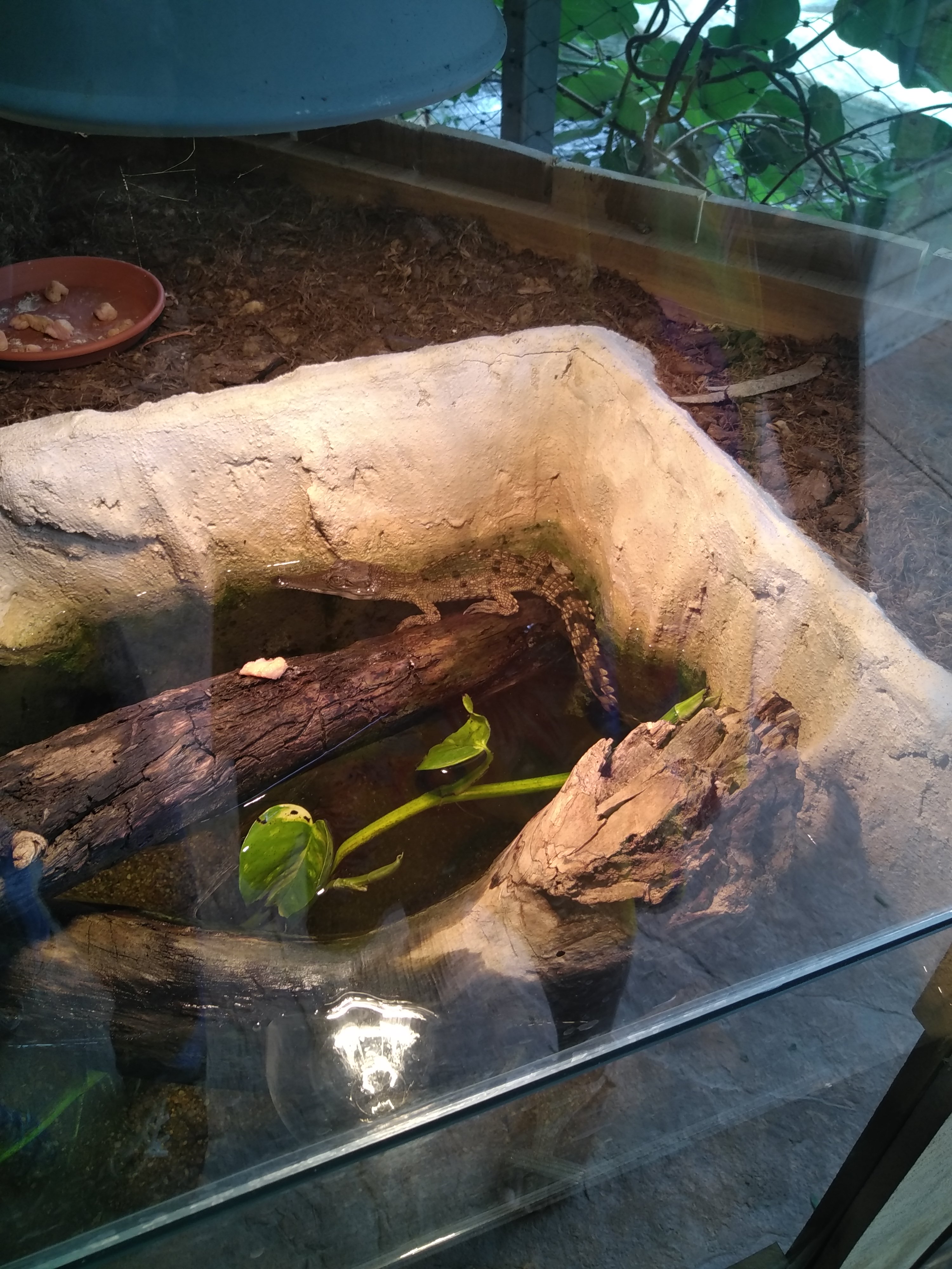 Photo n° 13 de l'avis de Antony.b fait le 16/08/2020 à 13:39