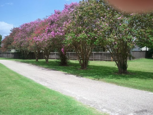 Day Care Center «Cypress Kids Learning Center», reviews and photos, 15802 Jarvis Rd, Cypress, TX 77429, USA